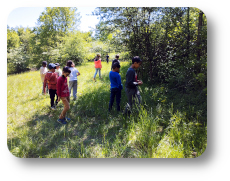 animation nature enfants